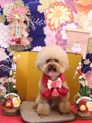 20240119ピノくん